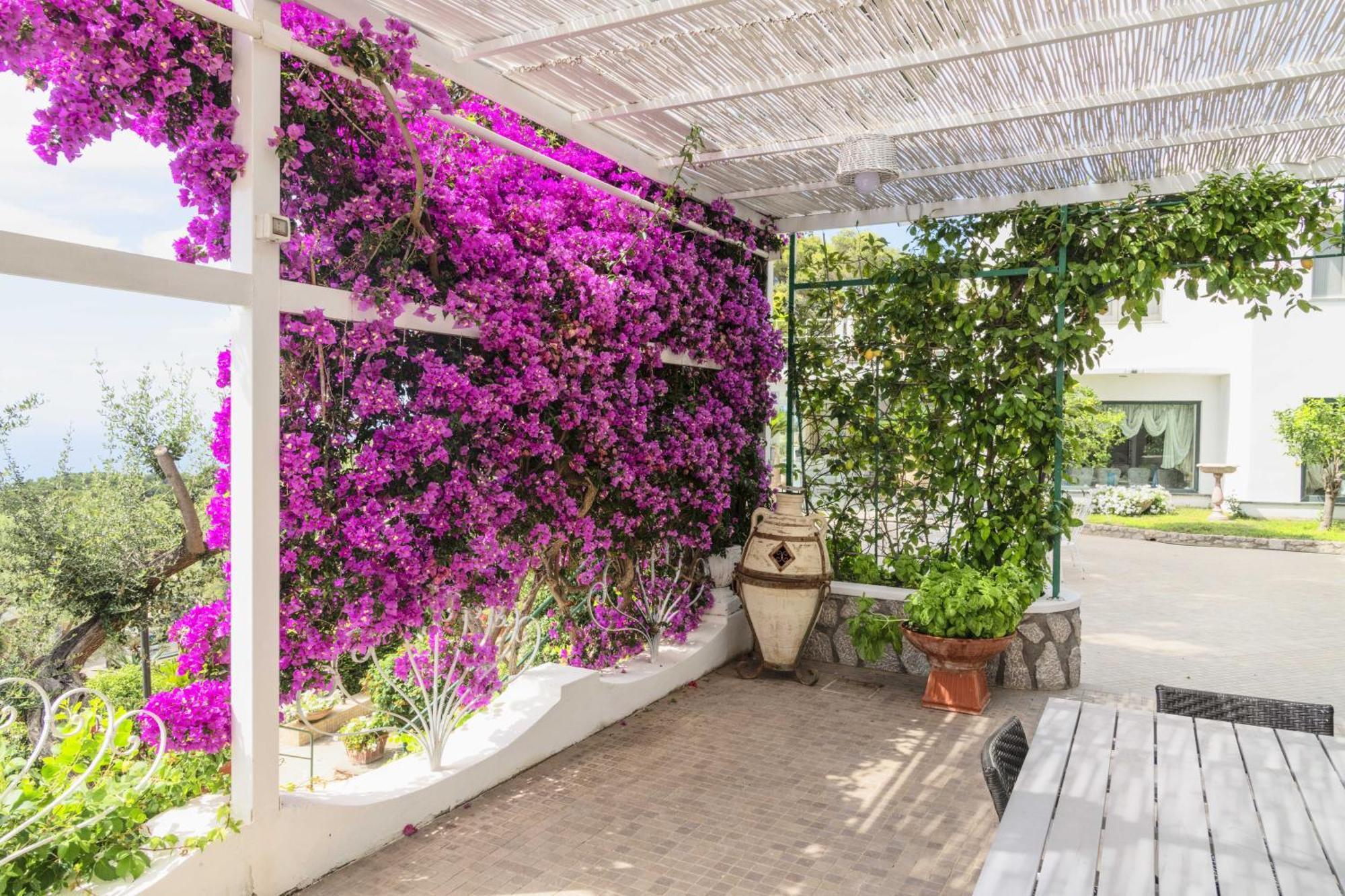 La Canostra Capri - Luxury Room Ad Anacapri מראה חיצוני תמונה